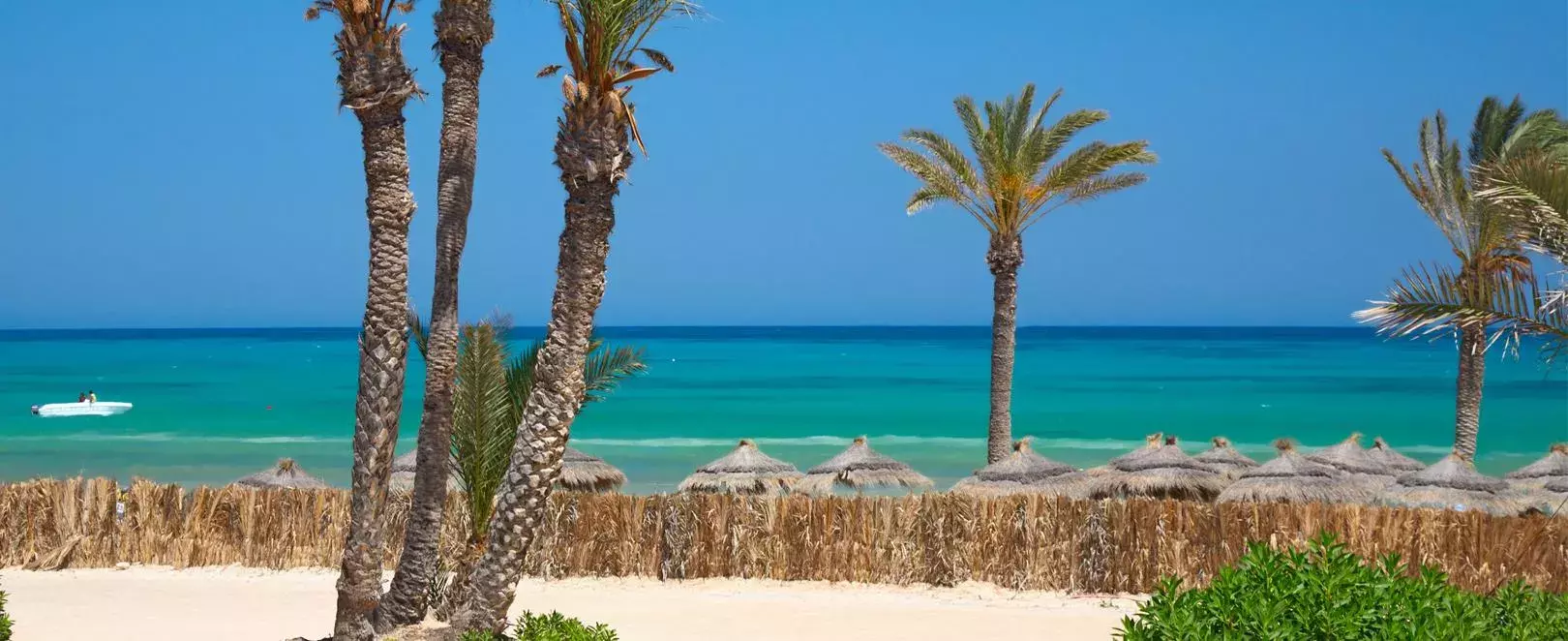 Vue d'une plage de sable fin à Djerba, palmiers et mer turquoise, destination idéale pour vacances balnéaires en Tunisie