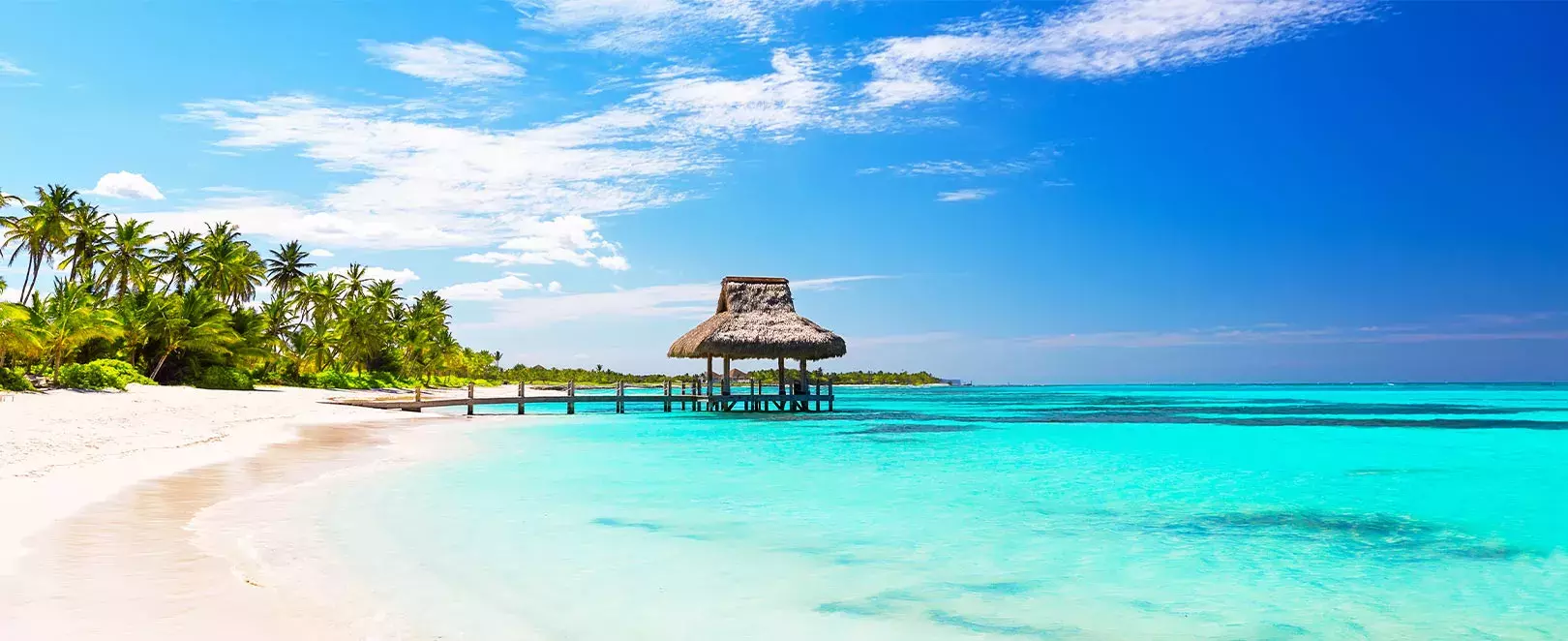 Paysage tropical de République dominicaine, plages de sable blanc, palmiers et mer turquoise sous le soleil des Caraïbes