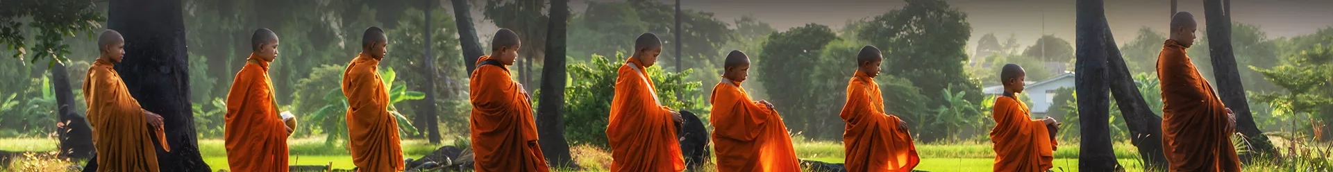 une file de moines bouddhistes avec des toges orange
