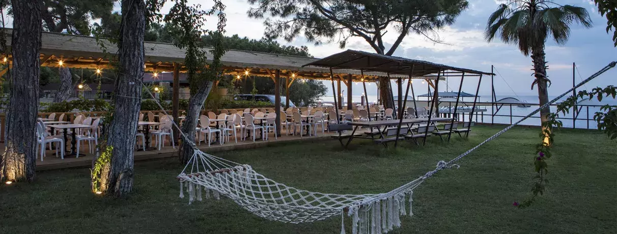 hamac dans le jardin avec palmiers bar en fond d'image