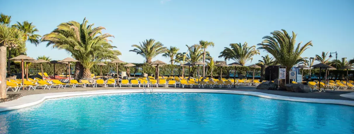 piscine extérieur et palmiers