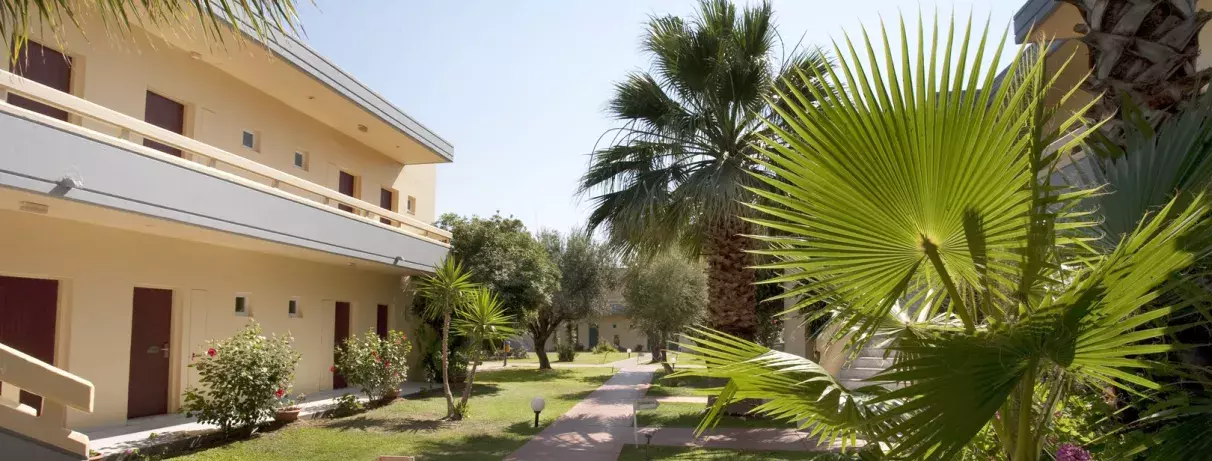 allée avec palmiers 