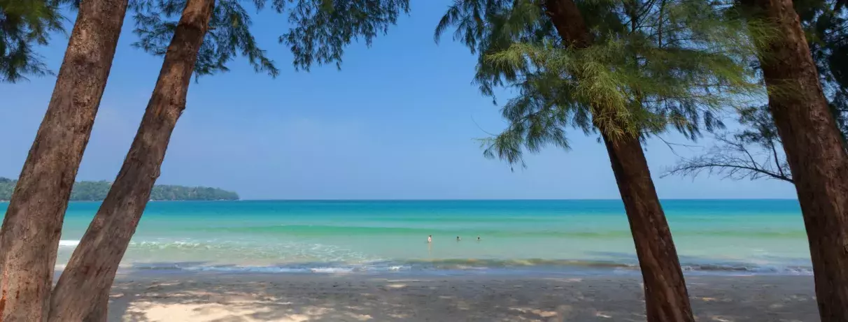 vue des palmiers et de la plage