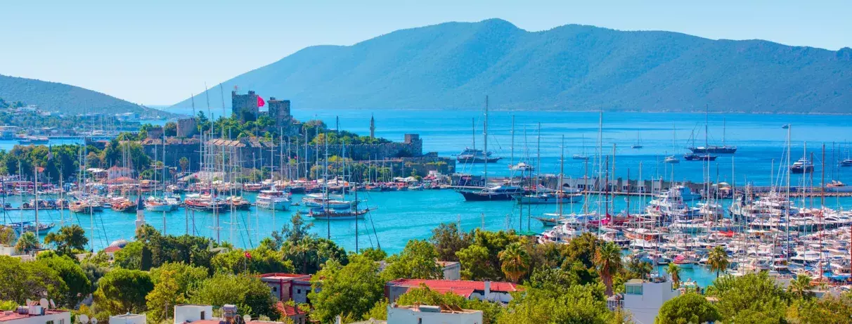 vue de la ville et du port et de la montagne