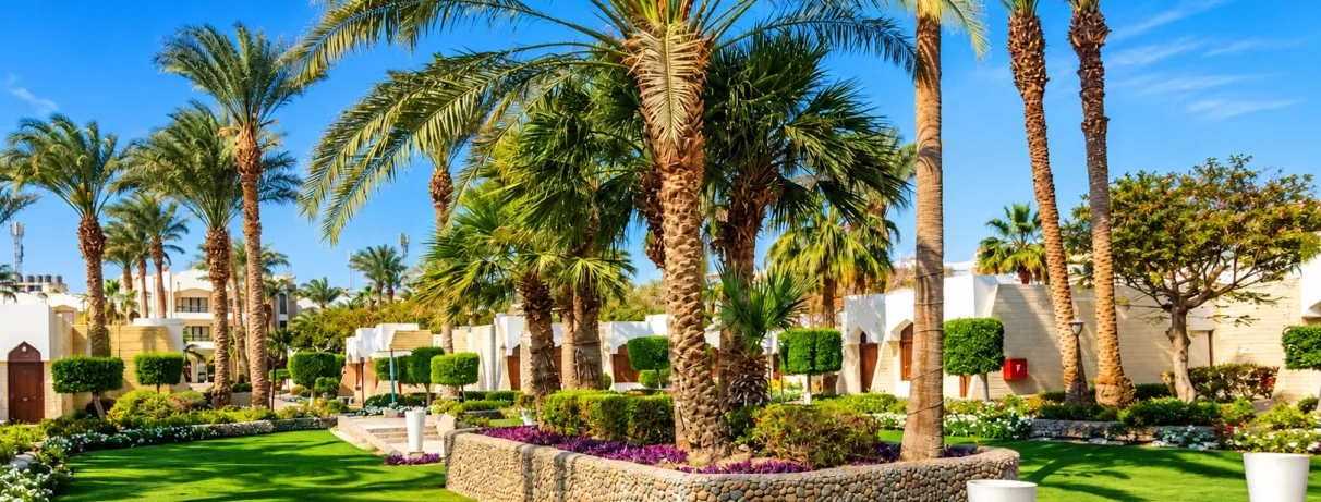 jardin extérieur de l'hôtel, avec des arbustes et des palmiers, bâtiment de l'hôtel