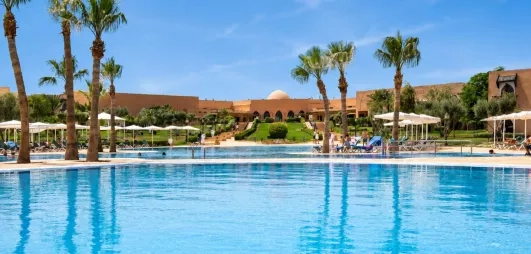 vue panoramique sur la piscine avec des palmiers au jardin d'à côté et un ciel bleu au fond