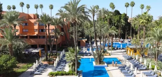 vue d'ensemble sur la piscne et le jardin