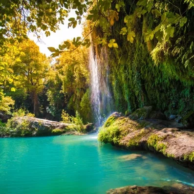 cascades d'eau situé dans la forêt 