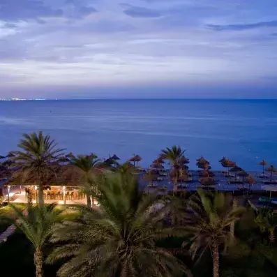 mer avec palmiers au premier plan