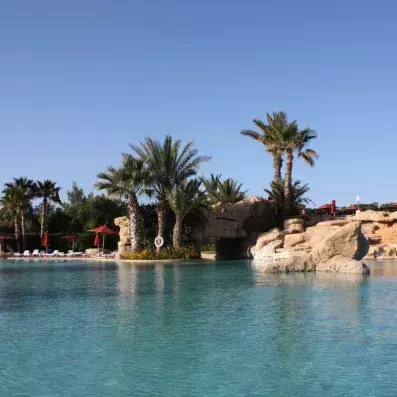 piscine avec palmiers