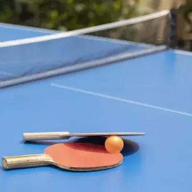 activité avec tennis de table