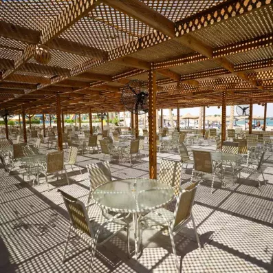 terrasse toit en bois