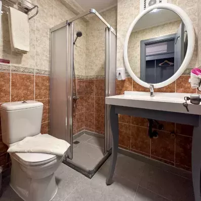 salle de bain avec douche et toilette