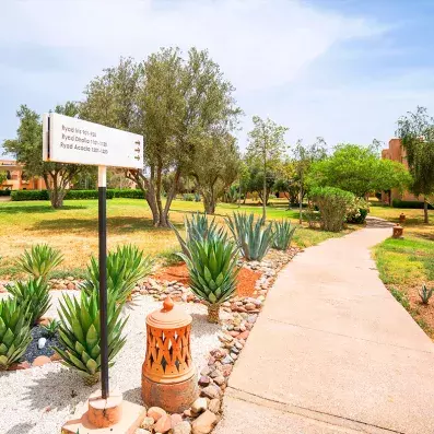allée du jardin de l'hôtel avec des arbres sur les côté, chemin vers les chambres