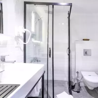 salle de bain avec douche et toilette