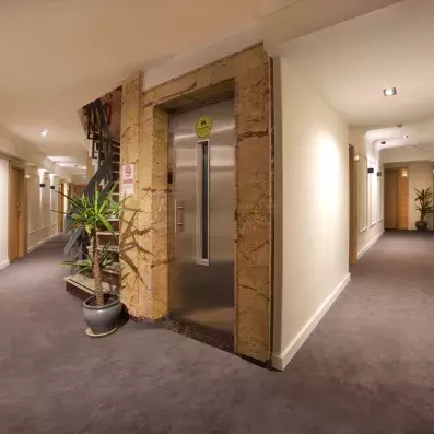 couloir de l'hôtel avec vue sur la porte de l'ascenseur et une plante