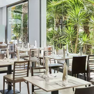 restaurant baies vitrées palmiers