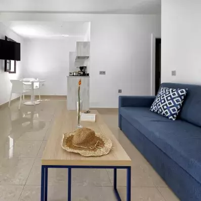 salon avec kitchenette dans la chambre