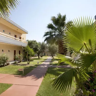 allée avec palmiers 