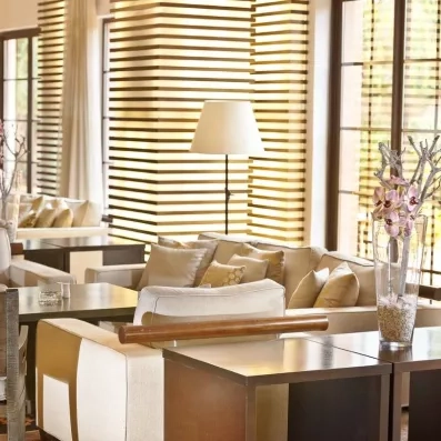 salon cosy 