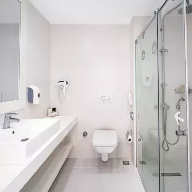 salle de bain avec douche et toilette