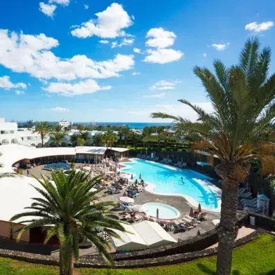 piscine extérieure avec palmier