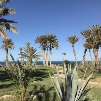 Jardin de l'Hôtel Zita Beach Resort à Zarzis avec palmiers, agaves et vue sur la mer Méditerranée.