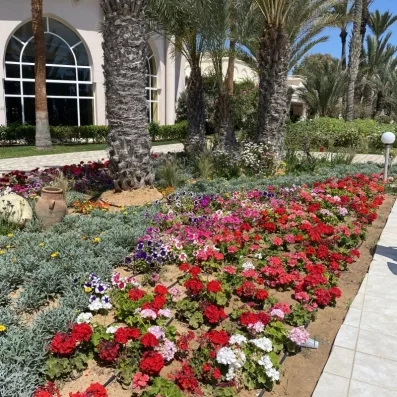 Jardins fleuris et architecture méditerranéenne de l'Hôtel Zita à Zarzis, un cadre idyllique pour des vacances en Tunisie.