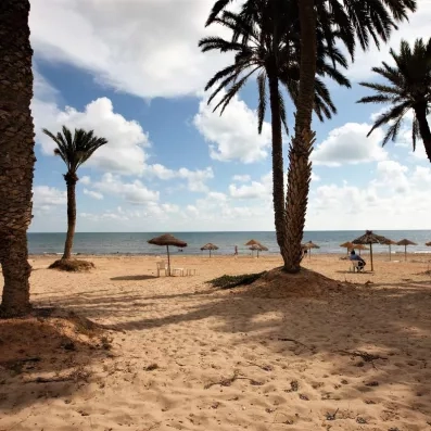 Plage de sable fin de l'hôtel équipée de parasols en paille (paillotes) et de palmiers, au bord d'une mer calme sous un ciel nuageux.