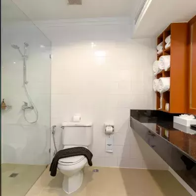 salle de bain avec des toilettes et un lavabo et une douche