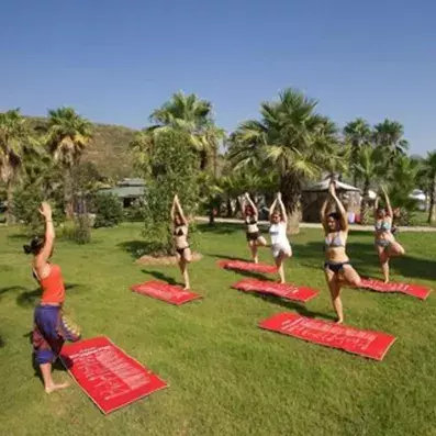 animation yoga en plein air