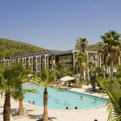 piscine extérieur avec des palmiers