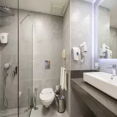 salle de bain avec douche et toilette