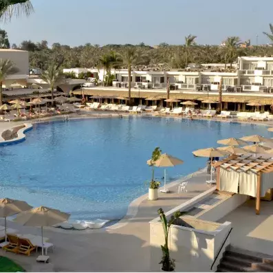 piscine avec transat 