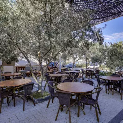 bar terrasse extérieur avec des plantes
