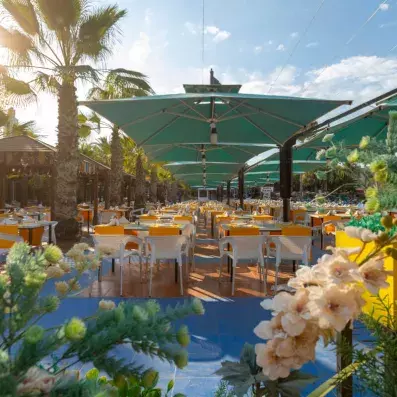 Terrasse extérieure avec tables jaunes sous grands parasols verts et environnement tropical.