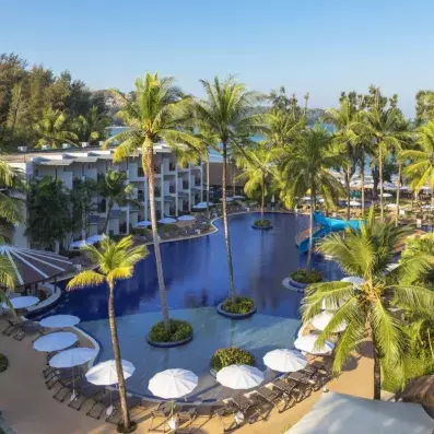 piscine extérieur et transats et parasols ainsi que des palmiers