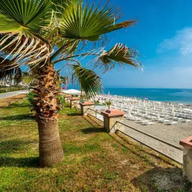 plage avec transats et parasols 