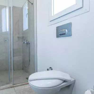 salle de bain avec douche et toilette