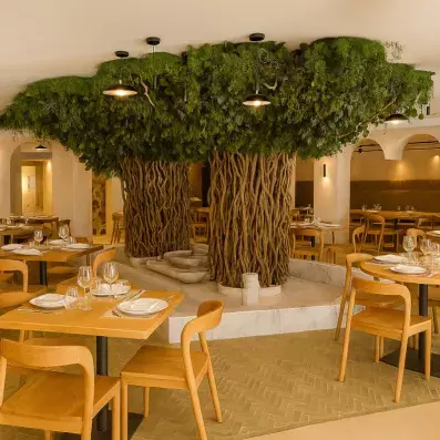 restaurant avec décoration en bois et plantes