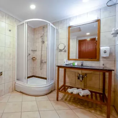 salle de bain avec douche 