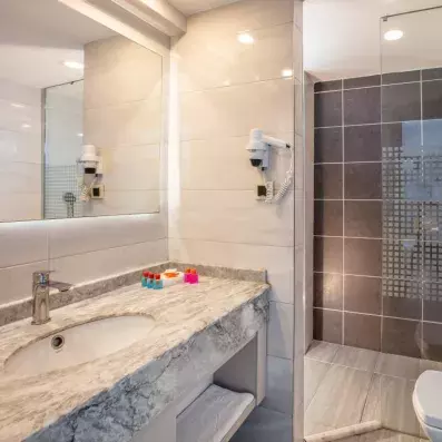 salle de bain avec douche 