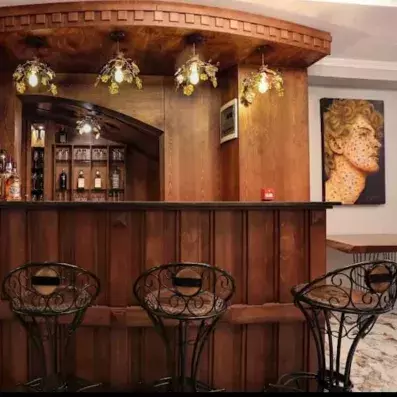 bar en bois avec comptoir et chaise haute