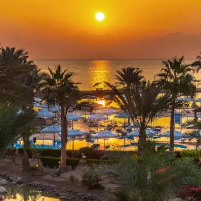 piscine plage coucher de soleil avec palmiers