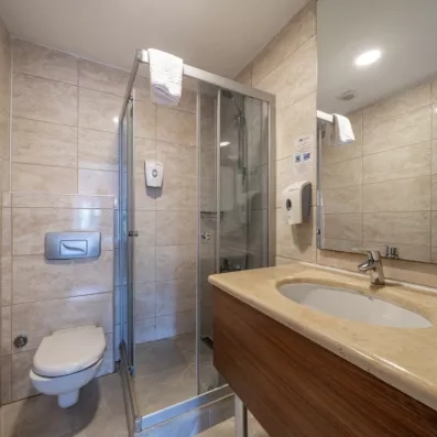salle de bain avec douche et toilette 