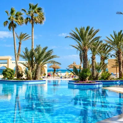 Piscine avec des palmiers