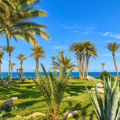 Jardin de l'Hôtel Zita Beach Resort à Zarzis avec palmiers, agaves et vue sur la mer Méditerranée.