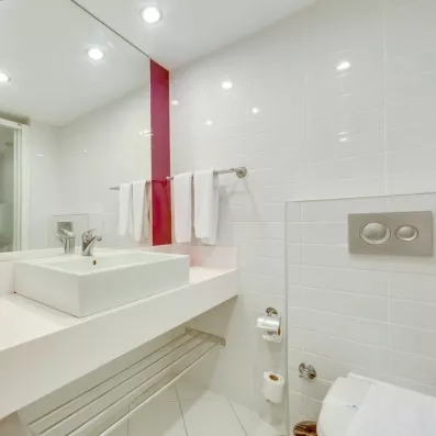 salle de bain avec douche et toilette