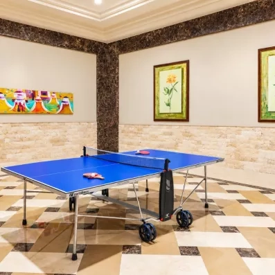 tennis de table