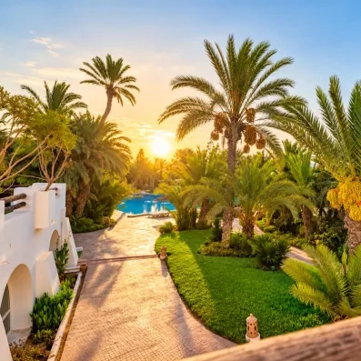 Jardin luxuriant du Djerba Resort avec palmiers dattiers et chemin pavé menant vers la piscine au coucher du soleil.